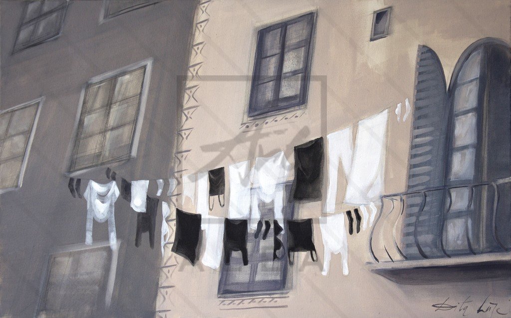 art store Dita Lūse; Laundry